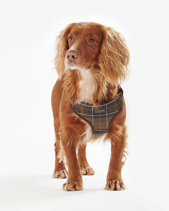 (Barbour) Travel & Exercise Harness - Classic Tartan
