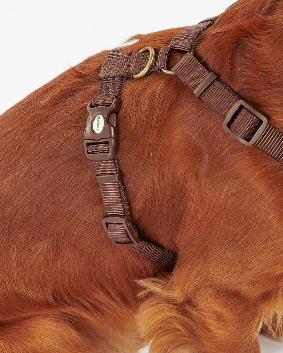 (Barbour) Travel & Exercise Harness - Classic Tartan