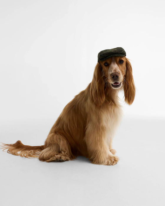 (Barbour) Wilkin Dog Flat Cap - Olive Check