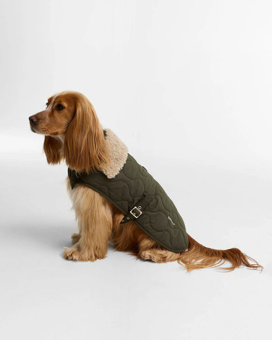 (Barbour) Beith Quilted Dog Coat - Olive