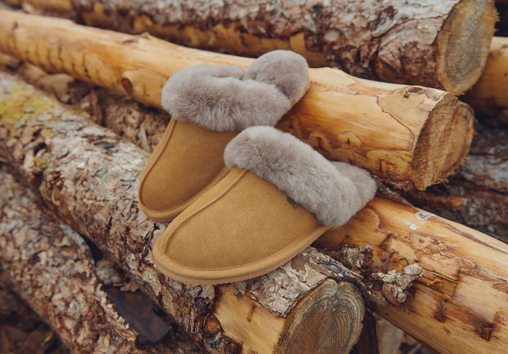 (Dubarry) Rockmill Mule Slippers (Women's)