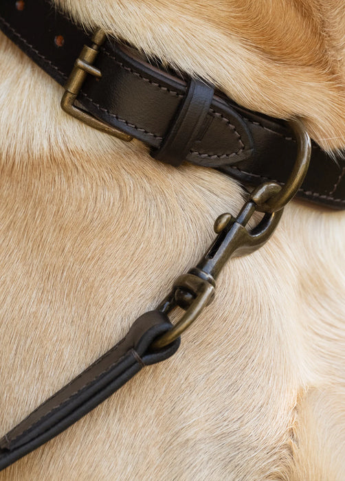(Dubarry) Ranger Leather clipped 4ft (appx) lead - Mahogany