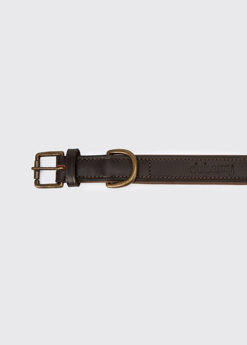 (Dubarry) Axel Padded Leather dog collar - Mahogany
