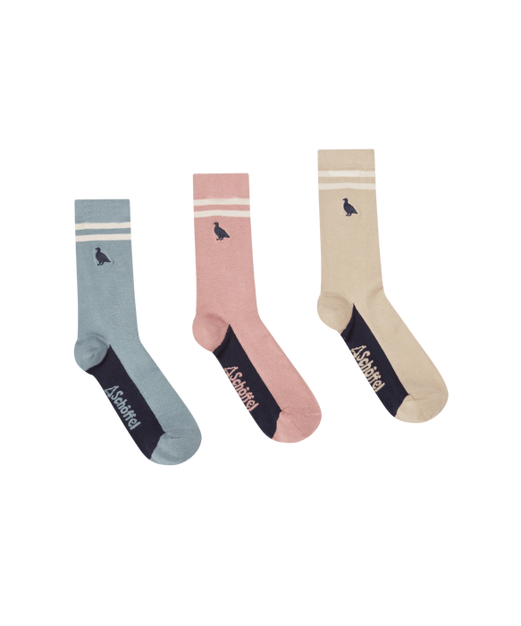 (Schoffel) Bamboo Socks (Box Of 3) - Ptarmigan Stripe Mix (Women's)